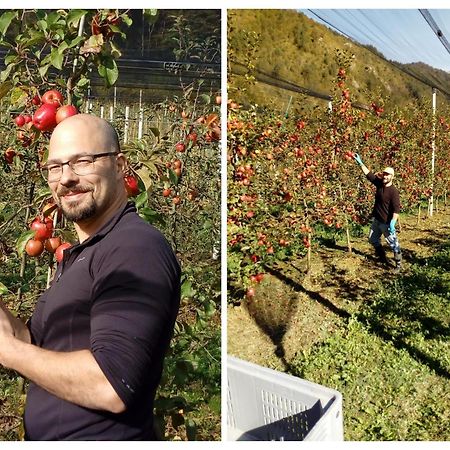 Agriturismo Pian Dei Tass บาร์ชิส ภายนอก รูปภาพ