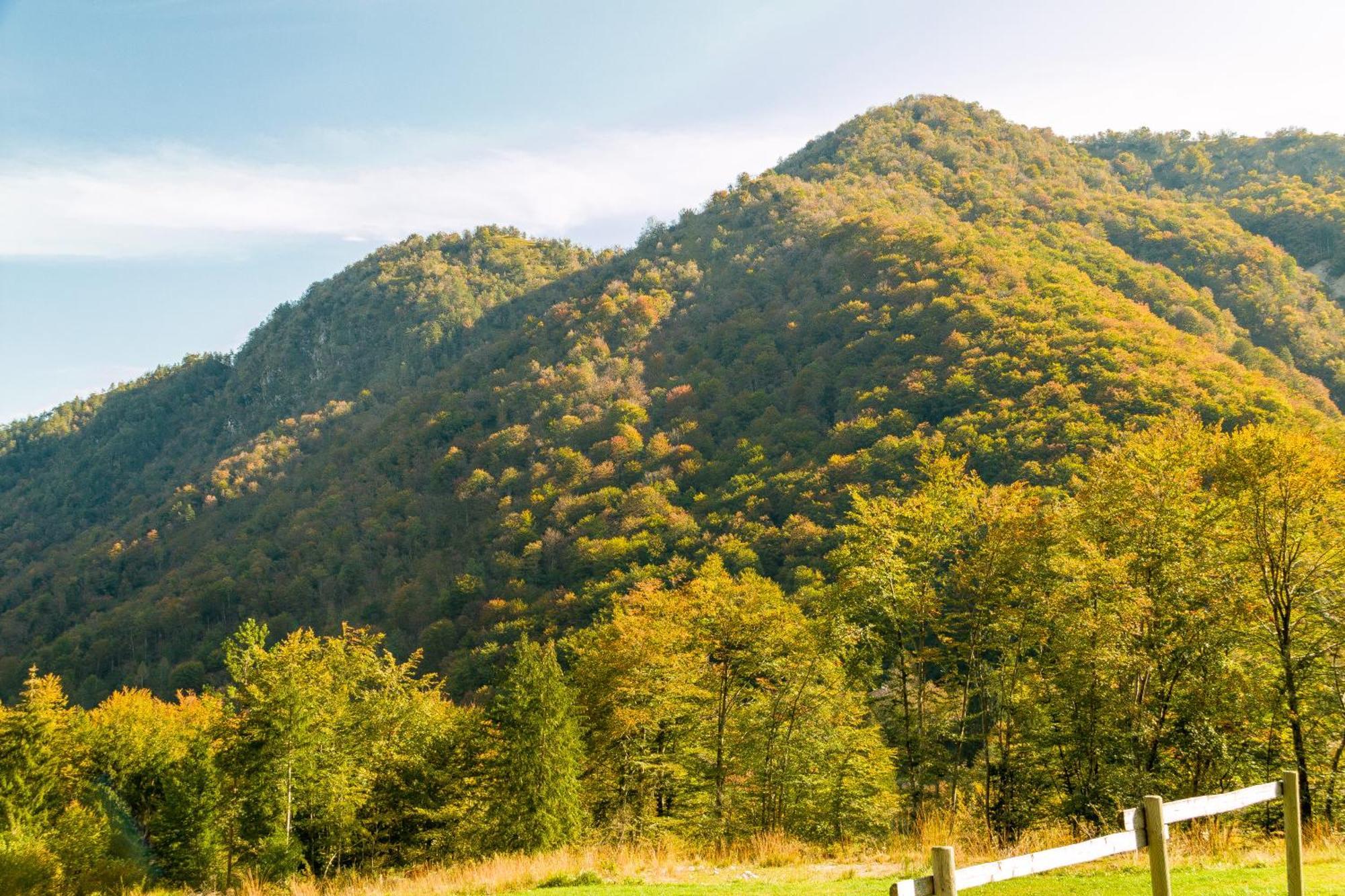 Agriturismo Pian Dei Tass บาร์ชิส ภายนอก รูปภาพ