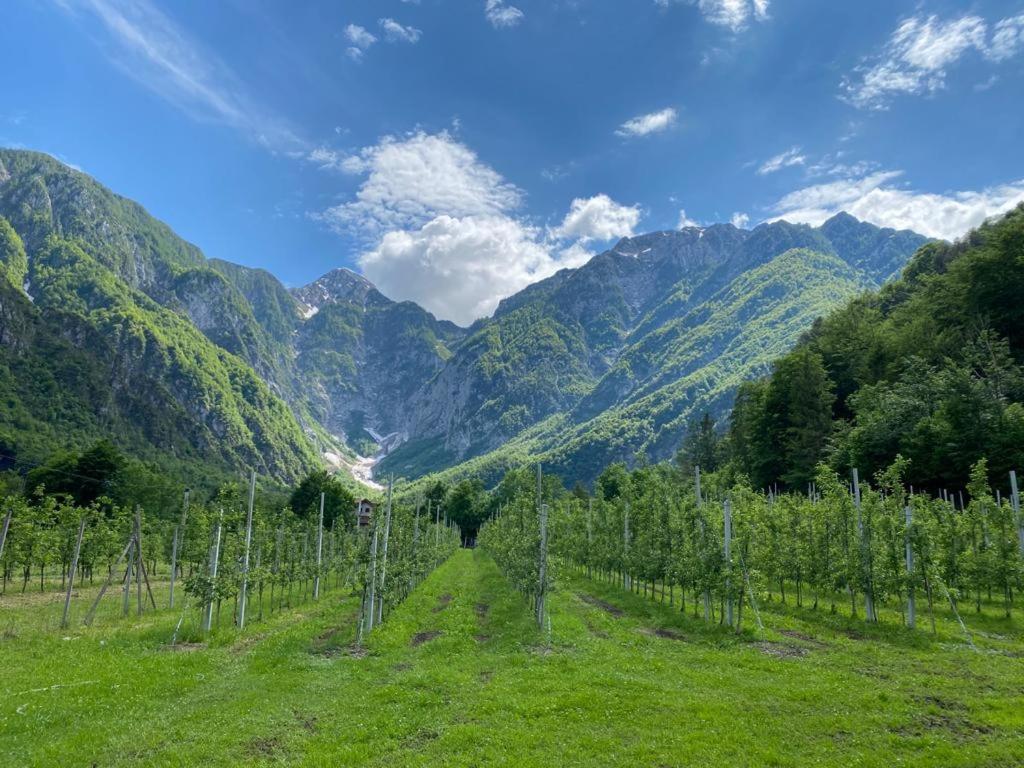 Agriturismo Pian Dei Tass บาร์ชิส ภายนอก รูปภาพ