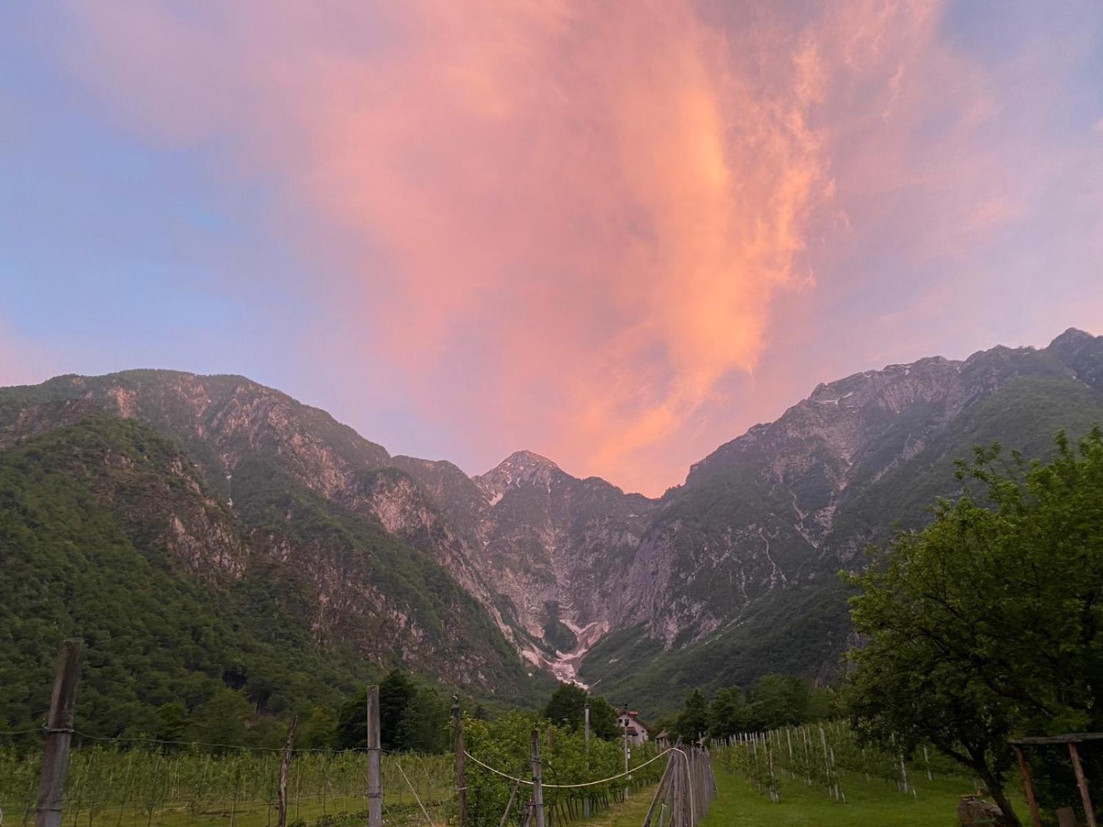 Agriturismo Pian Dei Tass บาร์ชิส ภายนอก รูปภาพ