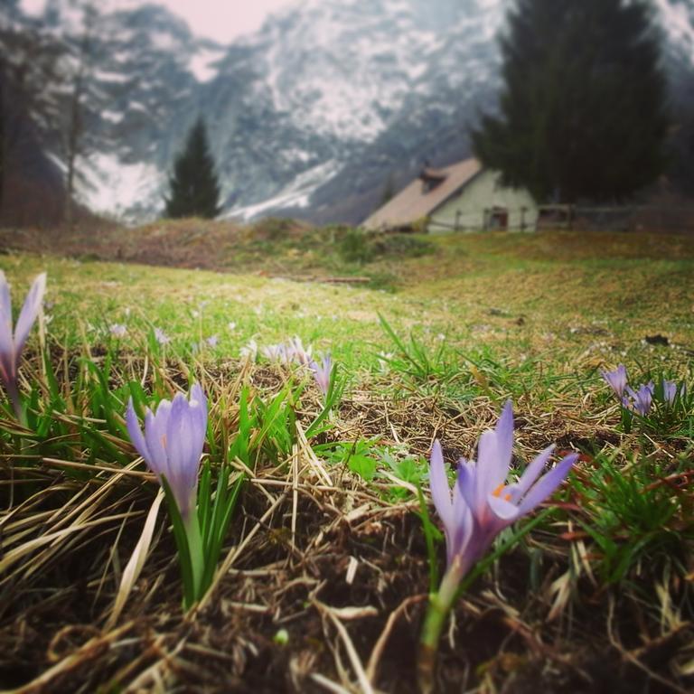 Agriturismo Pian Dei Tass บาร์ชิส ภายนอก รูปภาพ